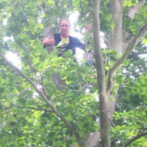 Climbing trees for Mim